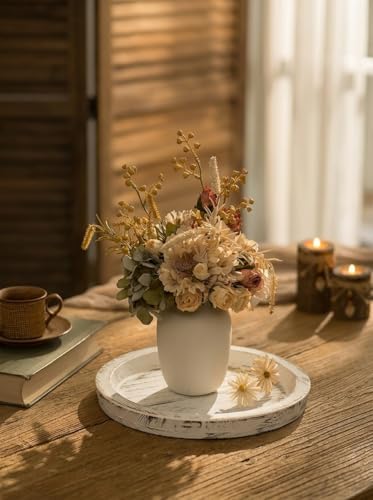 Hanobe Round Wood Candle Holder Trays for Coffee Table, Rustic White Finish