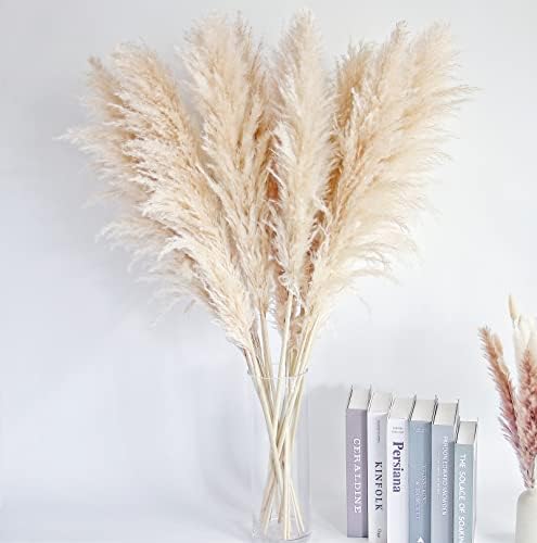 Tall Pampas Grass / Natural / Set of 10