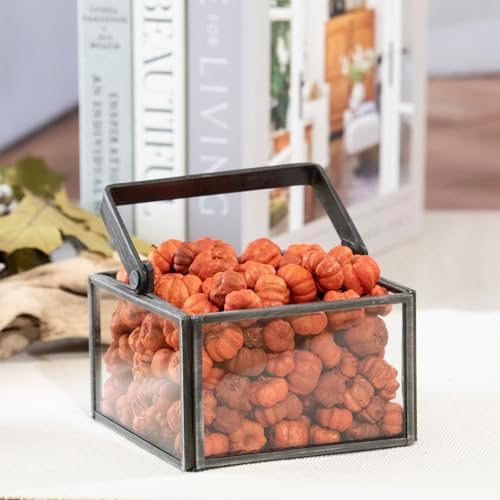 ANDALUCA Natural Vase Fillers | Fall Fragrance Scented Putka Pods Potpourri Home Décor (Putka Pods)