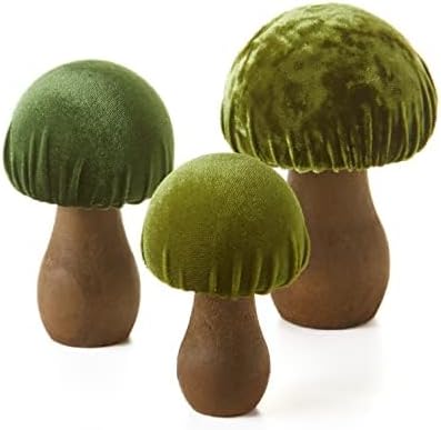 Gift for Nature / Green / Set of 3