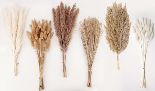 Dried Pampas Grass Decor, 120 PCS Pampas Grass with Bunny Tails Dried Flowers, Reed Grass Bouquet for Wedding, Boho