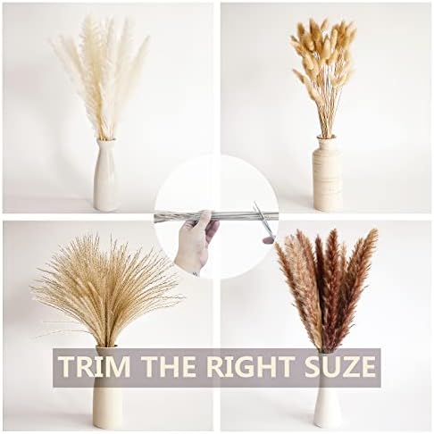 400 PCS Small Boho Pampas Grass, 17" Naturally Dried Pompas, Pampas Grass Decor for Wedding , Boho Party Decorations, Table Decor（Brown and White）