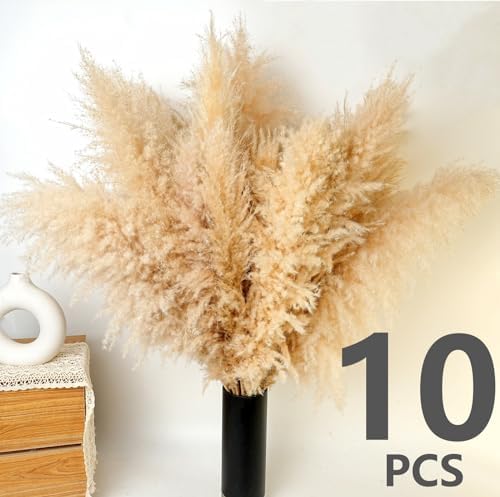 10 PCS 40" Tall Pampas Grass Stems in Natural Beige, Add a Boho Touch to Your Space—Pompas Grass Ideal for Floral