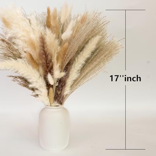 Dried Flower Bouquets / Set of 610