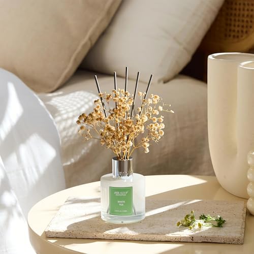 Airkeep Reed Diffuser Set,3.38 fl oz (100 ml) - White Tea Oil Diffusers with 8 Reed Sticks, Home Fragrance Reed