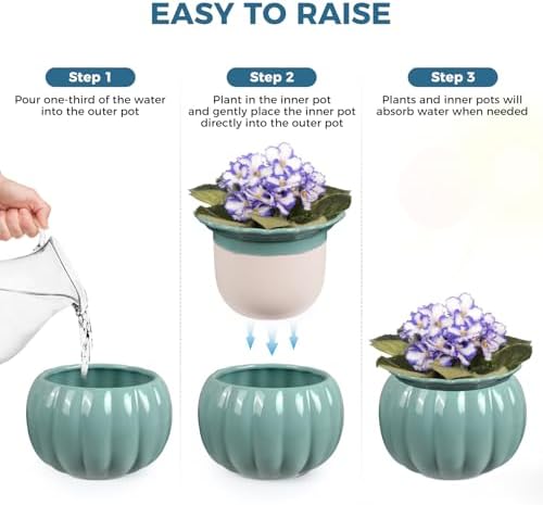 BUYMAX 6 Inch Self Watering Ceramic African Violet Pot Indoor Plant Pot