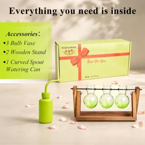 XXXFLOWER Plant Terrarium Kit with Wooden Stand 3 Gradient Green Bulb Vases