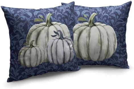 Fall Decorative Throw Pillow Covers 20 x 20 Inch Set of 2 Navy Blue White Pumpkin Outdoor Pillow Covers Autumn Thanksgiving Harvest Cushion Case for Farmhouse Living Room Decor