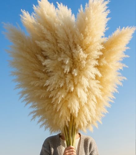 10 PCS 40" Tall Pampas Grass Stems in Natural Beige, Add a Boho Touch to Your Space—Pompas Grass Ideal for Floral