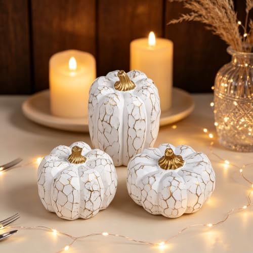 winemana Set of 3 White Pumpkins Fall Decorations for Home