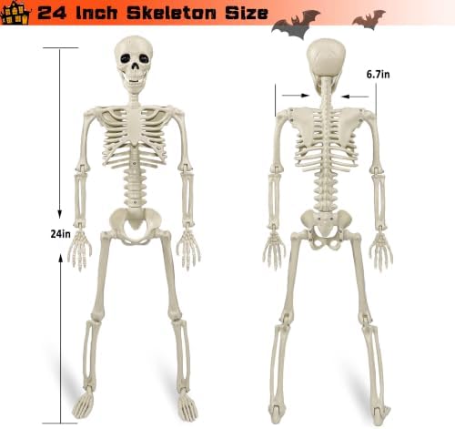 2 Pack 24"Halloween Skeleton - 2 ft Life Size Human Skeleton with Full Body Posable Joints Plastic Skeleton for Halloween Skeletons Decor Yard Patio Lawn Garden Skeleton Props Spooky Party Decoration