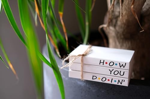 Friends TV Show Merchandise Sign for Home Tiered Tray Decor, Mini Decorative Wood Book Stack for Shelf Accent, Funny Friendship Gifts - How You Doing Sign