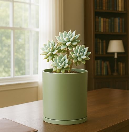 D'vine Dev Double-Layer Self-Draining Planter Set – Rotating Plastic Outer Pot with Clear Inner Liner for Root Health, Perfect for Indoor Plants, 6.5", Set of 2, Olive, 73-V-C-2