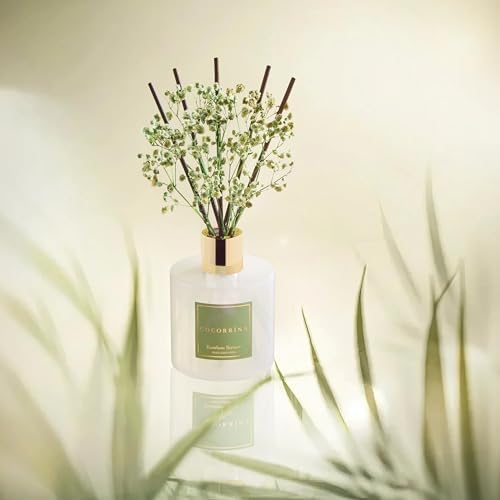 Cocorrína Reed Diffuser - Bamboo Stream Scented Diffuser with 8 Sticks Home Fragrance Reed Diffuser for Bathroom Shelf