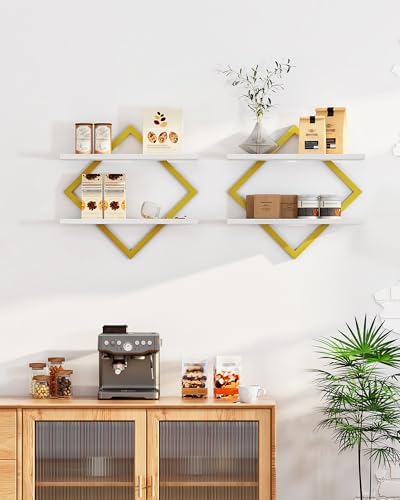 CHOEZON Floating Shelves for Wall, Set of 2 Wall Mounted Shelves, 2-Tier Hanging Shelves, for Living Room, Bedroom