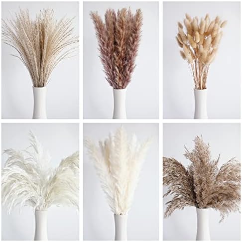 Bunny Tails Dried Flowers / Pampas Grass / Brown / Set of 110