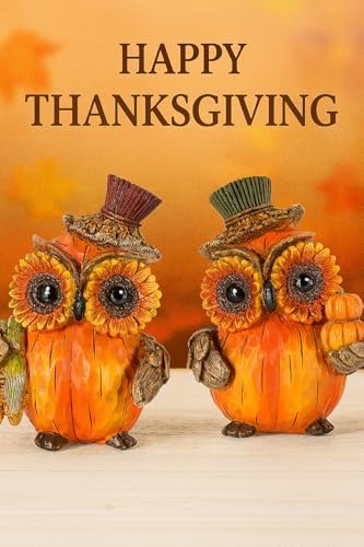 iStatue Set of 2 Thanksgiving Decorations Owl Figurines – Hand-Painted Resin Pumpkin Owls with Sunflower Eyes & Hats, 4.7” Fall Harvest Table Decor for Autumn Centerpiece (Yellow)