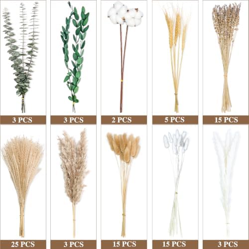 Green Dried Flower Bouquet, 10 Varieties Pampas Grass with Eucalyptus, Lavender, Cotton, Wheat & Bunny Tails, Natural Dried Flowers for Vase, Boho Farmhouse Wedding Home Decor