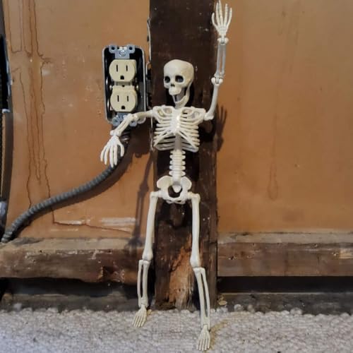 Halloween Skeleton Decorations Outdoor, 16" Plastic Posable Skeleton with Movable Joints, Small Creepy Scary Skeletons for Halloween Decor, Graveyard Haunted House Props
