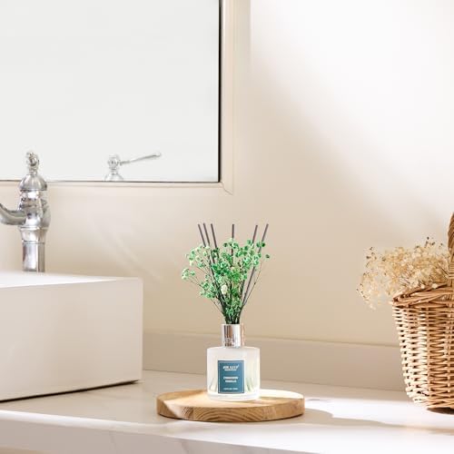 Airkeep Reed Diffuser Set,3.38 fl oz (100 ml) - Cinnamon Vanilla Oil Diffusers with 8 Reed Sticks, Home Fragrance Reed