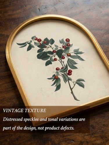 TwoDays Vintage Christmas Berries 11" x 13.8" Gold Arched Framed Wall Art