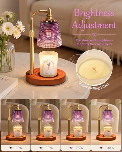 Hong-in Candle Warmer Lamp with Timer, Birthday Gifts for Women, Purple