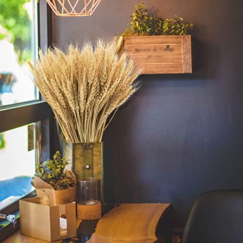 18 inches Natural Dried Wheat Stalks, 400 Stems Wheat Dried Flowers for Vase Home Kitchen Office Spring Flowers Arrangement Wedding Crowns Wreath Table Centerpiece Farmhouse Boho Party Décor