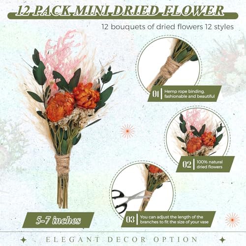 Layhit 12 Pcs Mini Dried Flower Bouquet Boho for Wedding,African Daisy
