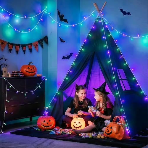 JMEXSUSS Connectable Purple and Green Halloween Lights Plug-in