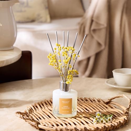 Airkeep Reed Diffuser Set,3.38 fl oz (100 ml) - Lemon Eucalyptus Oil Diffusers with 8 Reed Sticks, Home Fragrance Reed