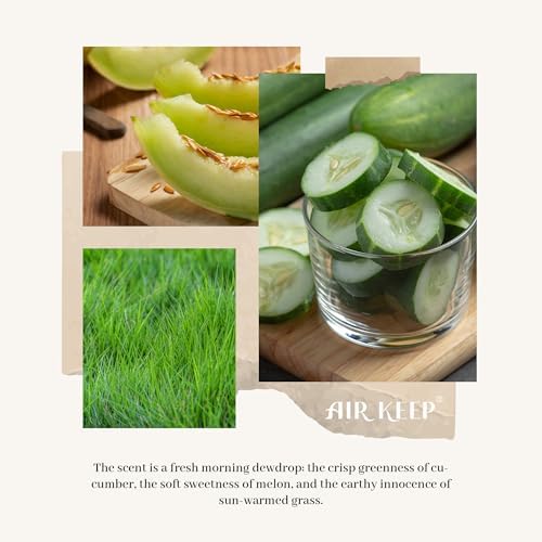 Airkeep Reed Diffuser Set,3.38 fl oz (100 ml) - Cucumber Melon Oil Diffusers with 8 Reed Sticks, Home Fragrance Reed