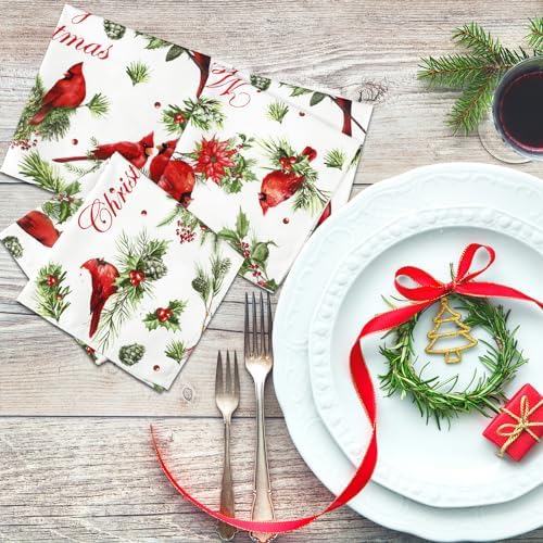 Qeeenar 12 Pcs Red Cardinal Cloth Napkins 20x20 Washable Dinner Party Decor