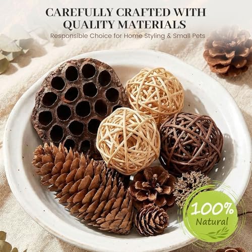 DomeStar 38 PCS Pine Cone Set for Bowl Centerpiece, Natural Bowl Fillers