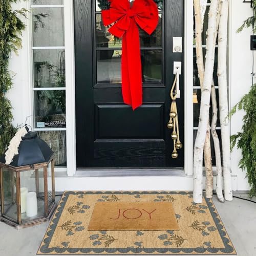 Front Door Mat Outside Entrance - 2x3 Jute-Look Blue Floral Rug