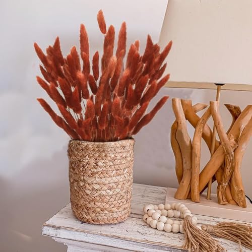 120pcs Bunny Tails Dried Flowers Pampas Grass Bouquet, Caramel