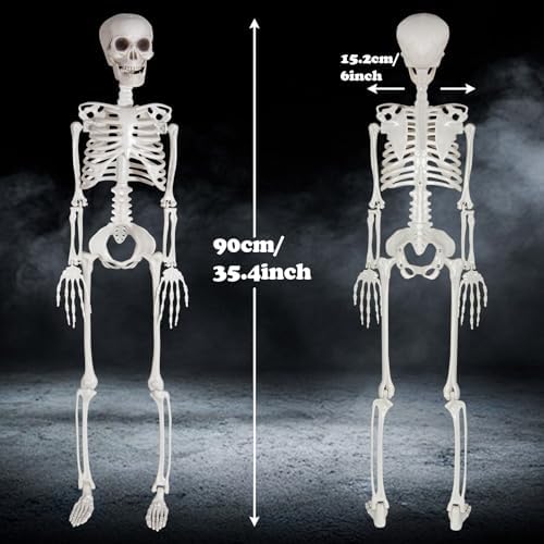 XONOR 3ft Halloween Posable Skeleton Human Full Body Plastic Skeleton Decorations for Halloween Party Haunted House Supplies (2Pcs)