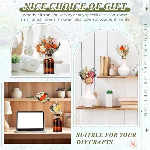 Layhit 12 Pcs Mini Dried Flower Bouquet Boho for Wedding,African Daisy