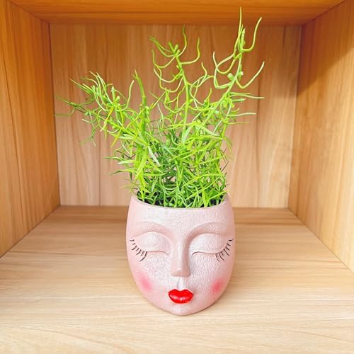 Face Planter Pot,Small Cute Resin Flower Head Planter with Red Lip,Brown,1P