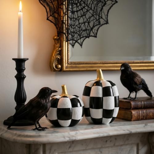 Black and White Checkered Pumpkins with Gold Stem for Halloween Decor