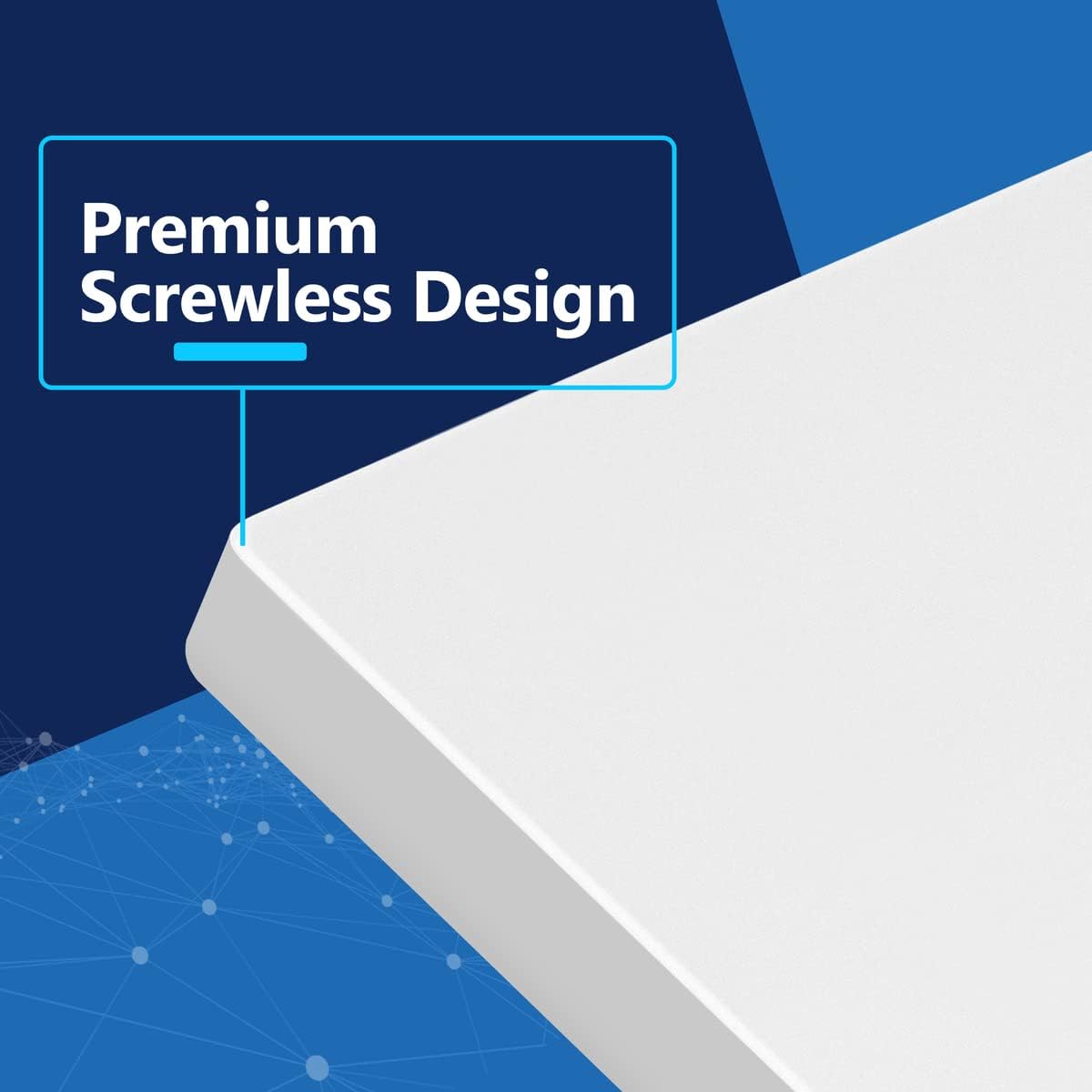 LIDER Double Blank Wall Plate, Screwless Design, Midsize, 2-Gang, 10-Pack | Temperature And Impact Resistant, Matte