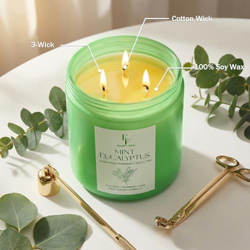 Mint Eucalyptus Large Scented Candle, 3-Wick 22oz Long Lasting Scented Candle, Natural Soy Wax Aromatherapy Candle for