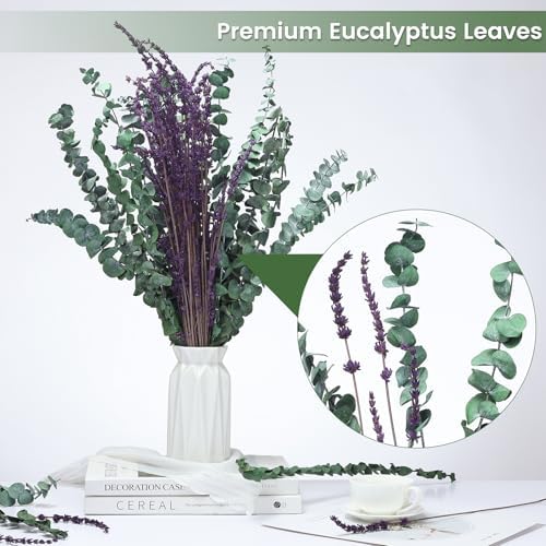 Real Eucalyptus for Shower Hanging Dried Eucalyptus Stems for Shower