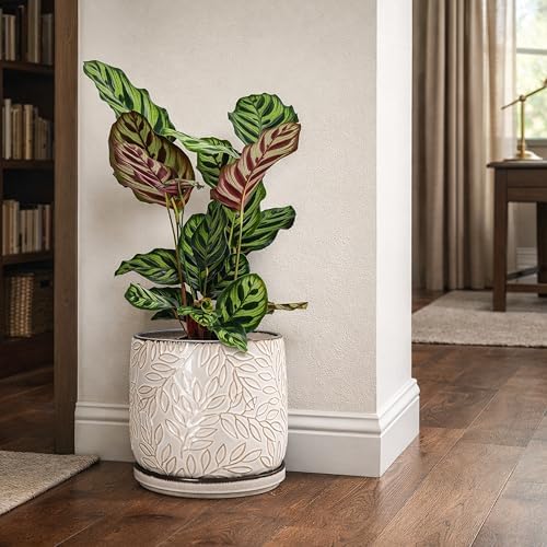 D'vine Dev Embossed Leaves Ceramic Planter, 8 in, Smoked White, 27-A-Q-1