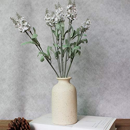 Hirdbrote Small Ceramic Vases for Decor 2-Piece / Beige & Black Dot