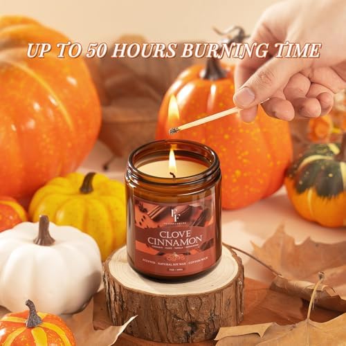 Fall Candle, Clove Cinnamon Scented Candles for Home, Natural Soy Autumn Candle Aromatherapy Candle, 7 oz Jar Candles