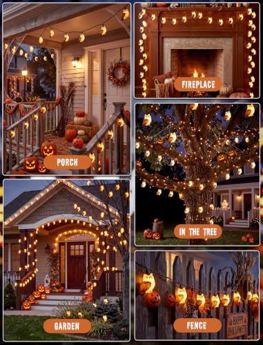 12FT Halloween Owl String Lights, 20L LED Plug in Owl Lights