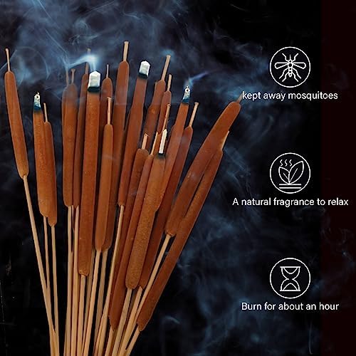 Dried Natural Brown Cattails Flowers - 20PCS Real Broadleaf Pencil Cattail Stems Bundles, 17'' Bulrush Plants Dry Flower for DIY Floral Arrangements, Wedding Home Office Gardens Decor