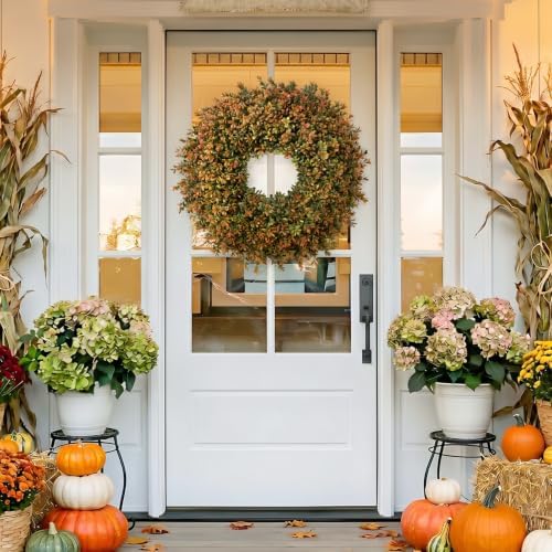 Waipfaru 26'' Fall Boxwood Wreath for Front Door Decor, Orange