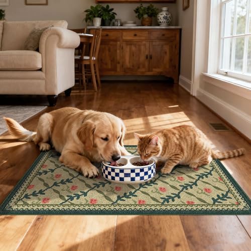 Floral Outdoor Rug - 28"x43" Front Door Mat Indoor Outside Entrance