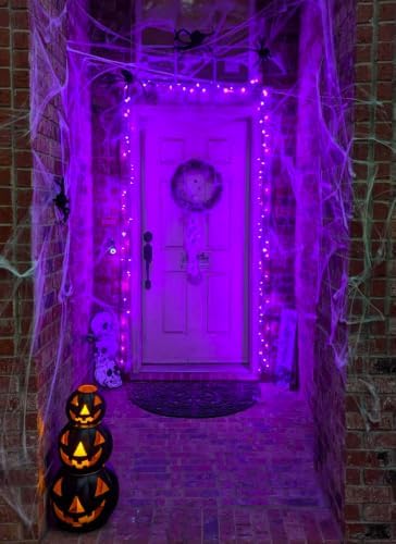 2 Pack Purple Halloween Lights, 100LED Outdoor Indoor Christmas Mini Lights